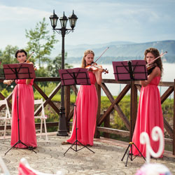 Wedding musicians and singers - tips image