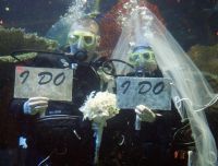Weirder Weddings