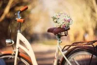 The Year Of The Boho