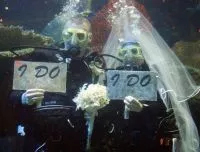Weirder Weddings