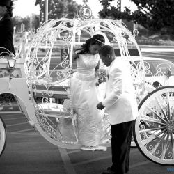 Vintage Carriage Company
