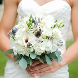 Phillip's Flowers & Gifts