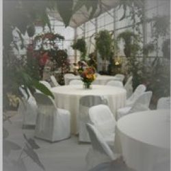 Specialty Linens and Chair Covers
