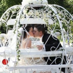 Dream Horse Cinderella Carriage Rides and Rental
