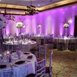Top Notch Linens & Party Rentals