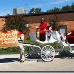 Yesteryear Horse and Carriage, Inc.