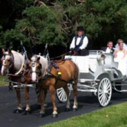 Colonial Acres Carriage Service