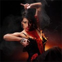 Bellydancers & More by Dancesoul Company