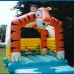 Funtastix - Delaware Inflatable Bounces