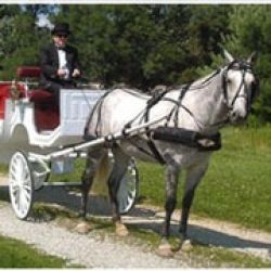 Serenity Farms Carriages
