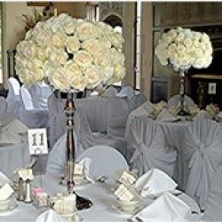 Dreams Wedding Decorator