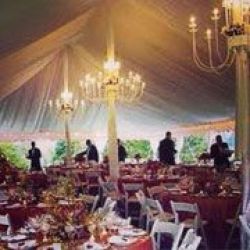 Star Quality Tents