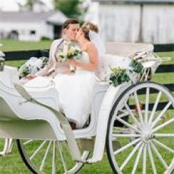 Grand Carriages & Baraat Horse Services