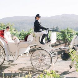 Grand Carriages & Baraat Horse Services