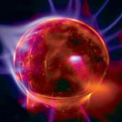 Chicago Psychic Reader
