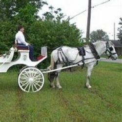 Heritage Carriage Company
