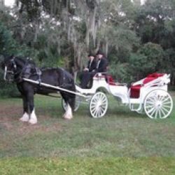 Horse Power For Kids Inc. - Non Profit