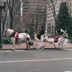 Bridal Carriage Co