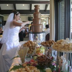 Chicago Chocolate Fountain