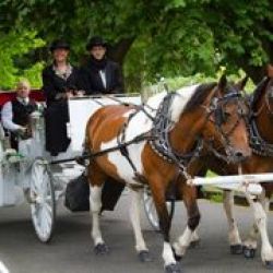 Country Wagon Carriage Service