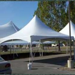 Seward Party Rentals
