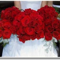 Signature Occasions - MS Wedding Consultant