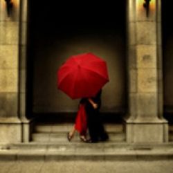 Jerry D Photography