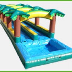 Jumping Bean Party Rental Inc ~ Albany Rentals
