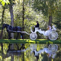 Kiowa Creek Coaches, LLC