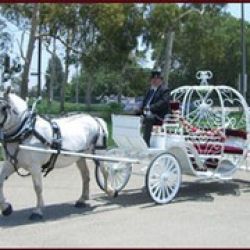 Memory Makers Carriage Company