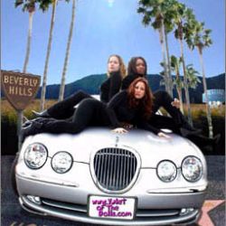 Valet of The Dolls, Inc. - Valet Parking