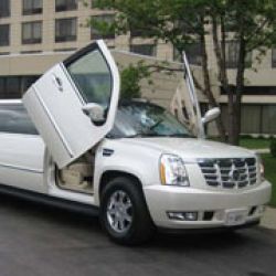 Specialty Limousine