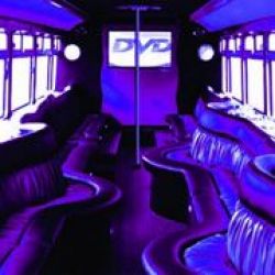 VIP Club Bus