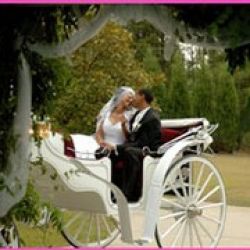 Yellow Rose Carriage Service